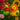 Blumen