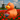 Dutch Ducky