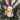 Einstein Duck'oration