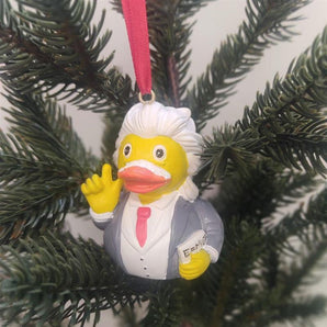Einstein Duck'oration