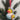 Jane Austen Duck'oration