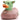 Green Wonder Badeente