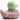 Green Wonder Badeente