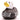 Skelett Badeente