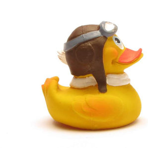 Pilot Duck