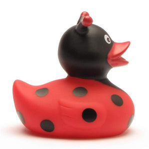 Quietscheentchen Marienkäfer