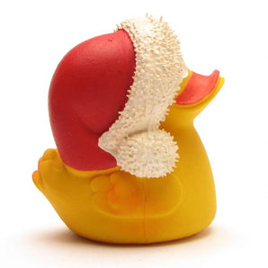 Santa Duck