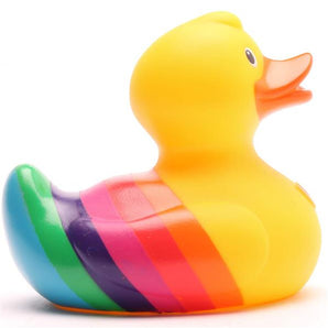 Rainbow Duck