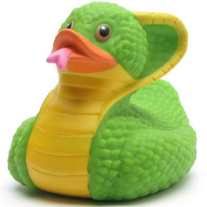 Schlange Badeente
