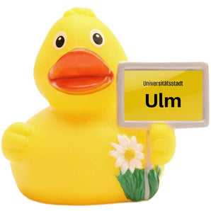 Stadtente "Ulm"