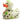Butterfly Duck