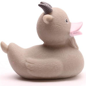 Ziegen Badeente