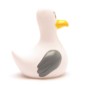 Maties v. Sprotte Quietsche-Möwe